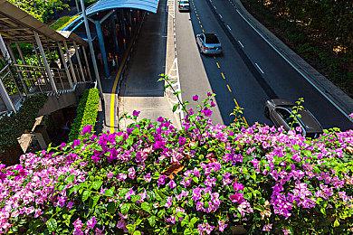 《无名九使：觉醒》Steam销量才一万份 万代真亏死了